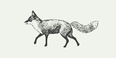 Clarissep's profile banner image