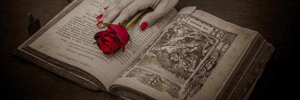 lucilibera's profile banner image