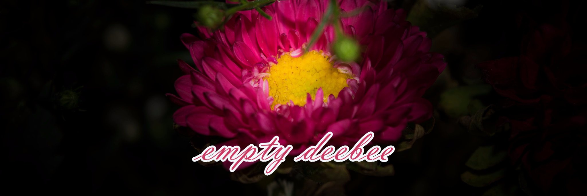 emptydb's profile banner image