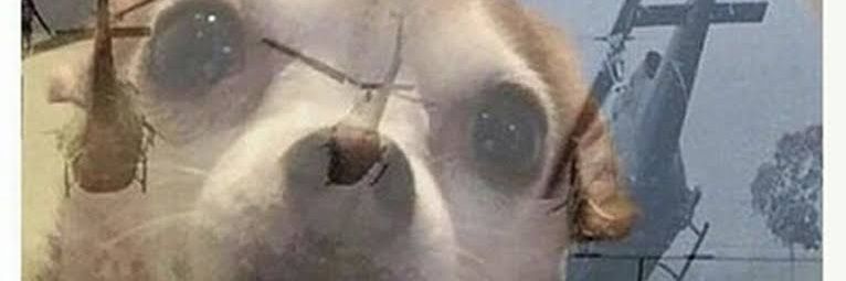JorgeHvz's profile banner image