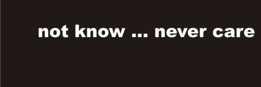 Indonesian Forest banner