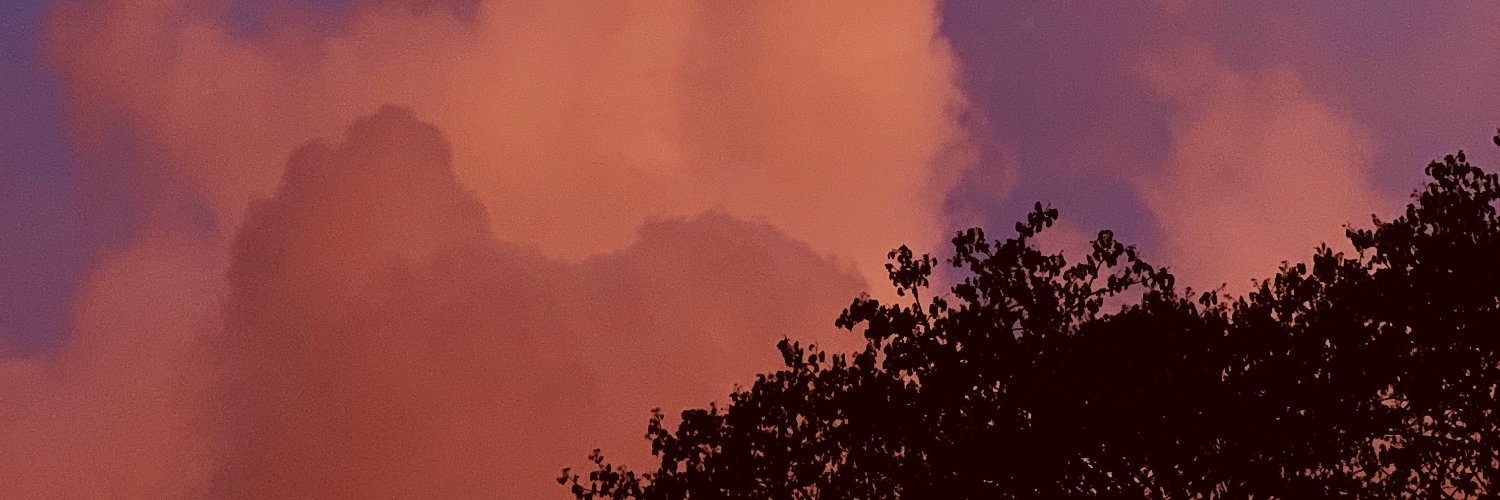 rishikaaaaaaaa's profile banner image