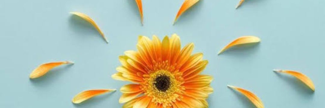 Aindya_'s profile banner image
