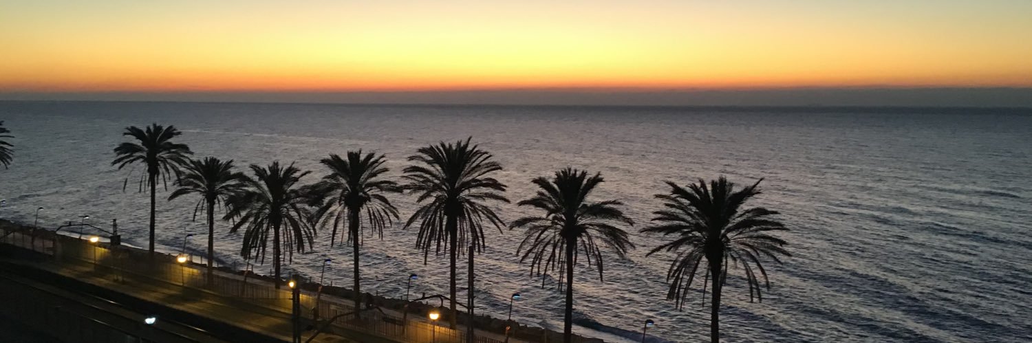 Vicent Sanz Arnau 🎗 banner