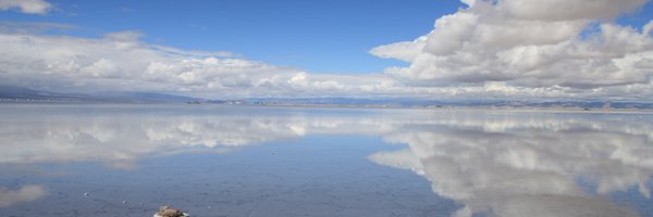 DeniseHeising Profile Banner