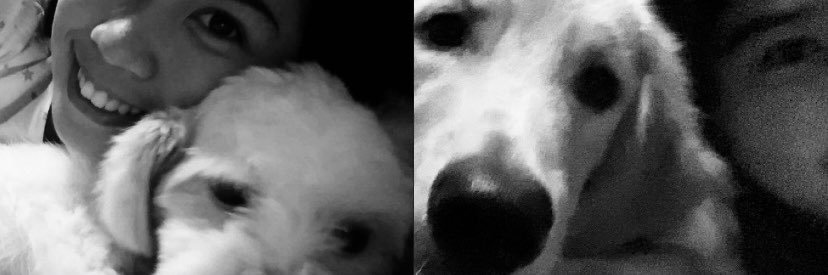 _aubbbie's profile banner image