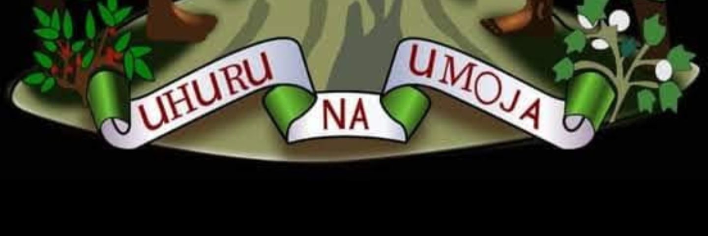 LMwakasisi's profile banner image