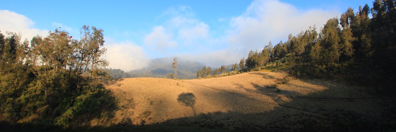 santosold's profile banner image