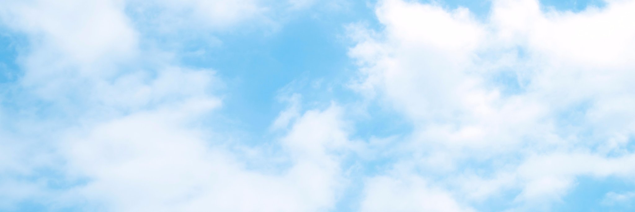 とぶとかげズ🍉 banner