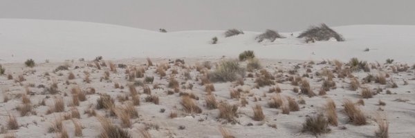 Kynnzo Profile Banner