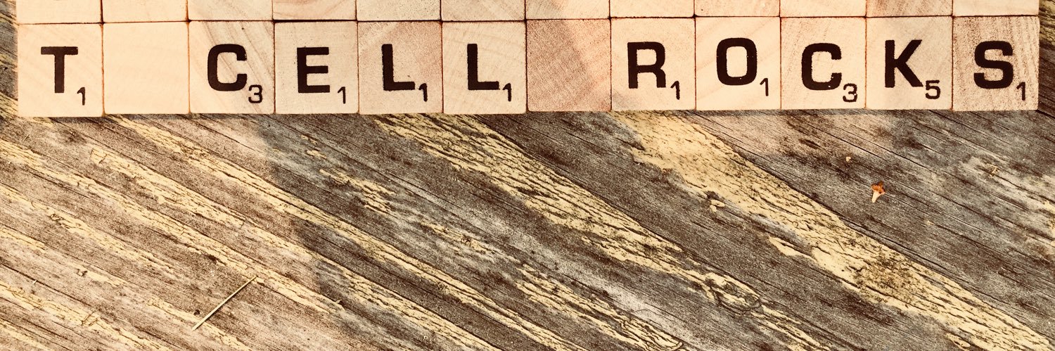 Changwei Peng banner