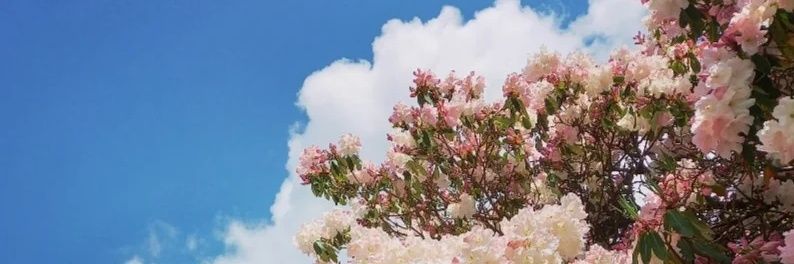 caromac88's profile banner image
