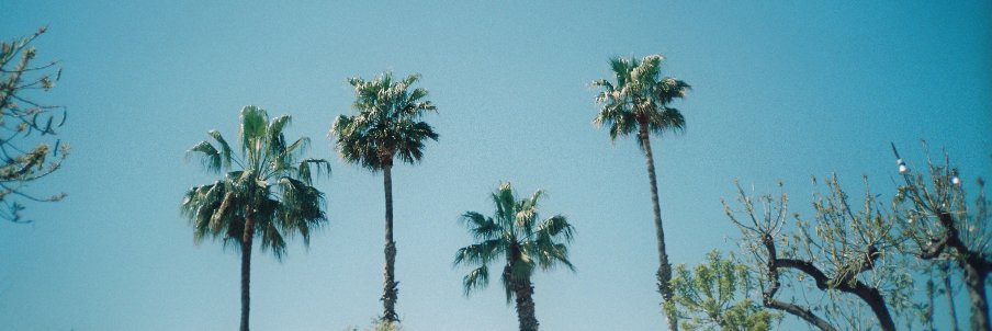 Payu banner