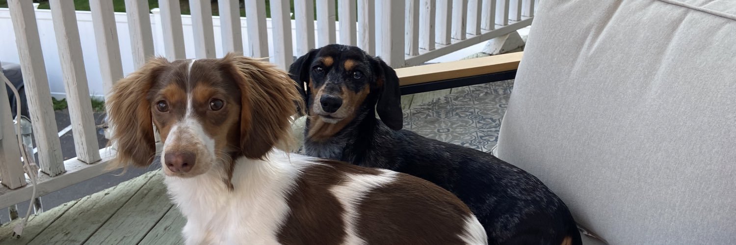 Morgan Nichols banner