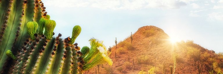 letrungit's profile banner image