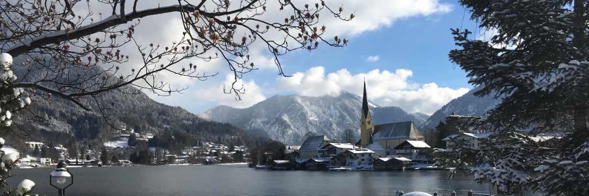 Thomas R. Koehler banner