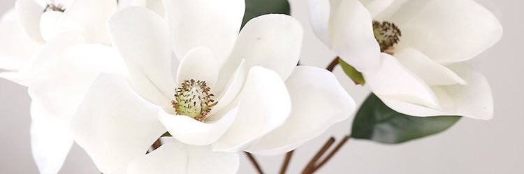 LuciaSaenz's profile banner image