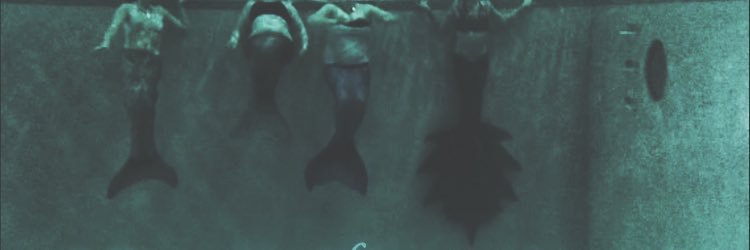 AlbertanMers's profile banner image
