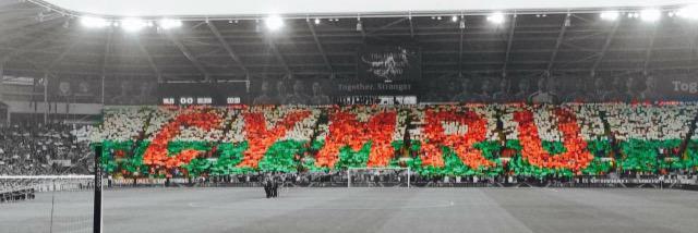 Lee Owen banner