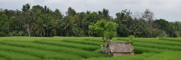 Bebra_enf Profile Banner