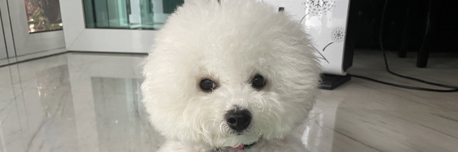 MohHengYing's profile banner image