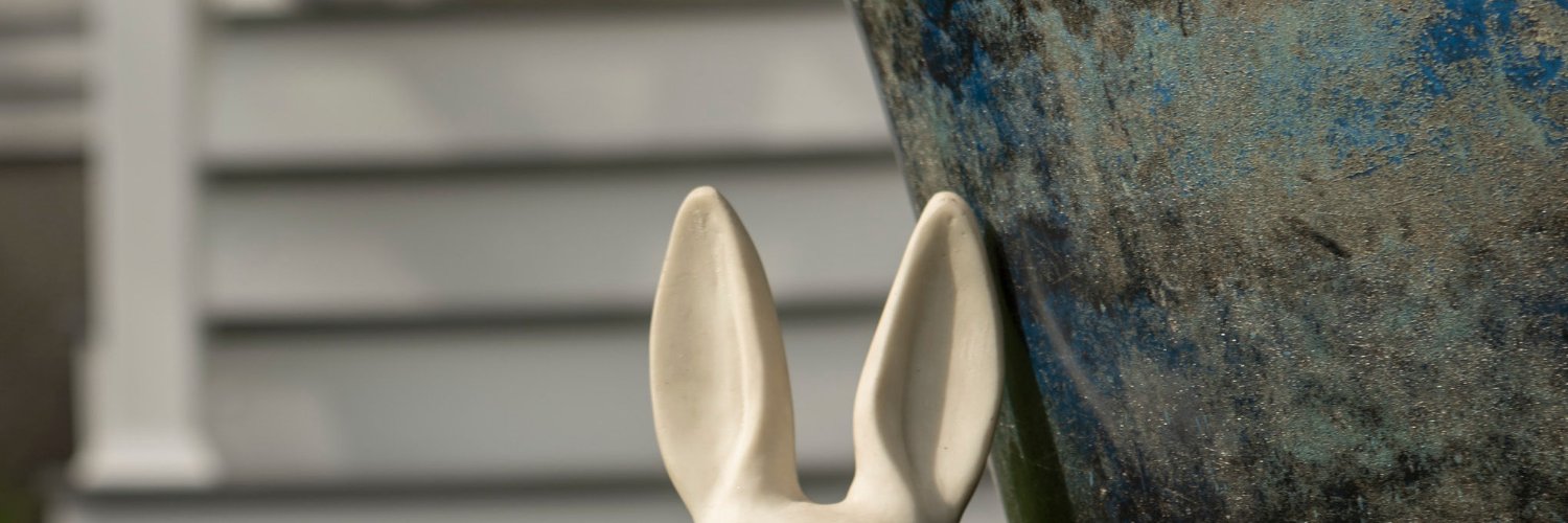 PetuniaShort's profile banner image
