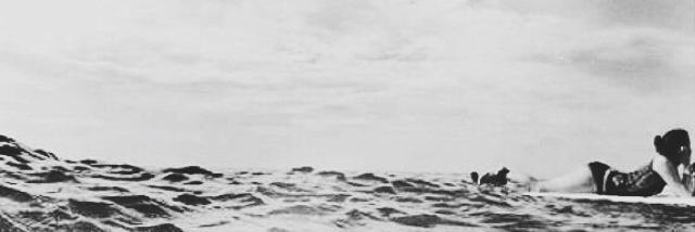 izabelledavid's profile banner image