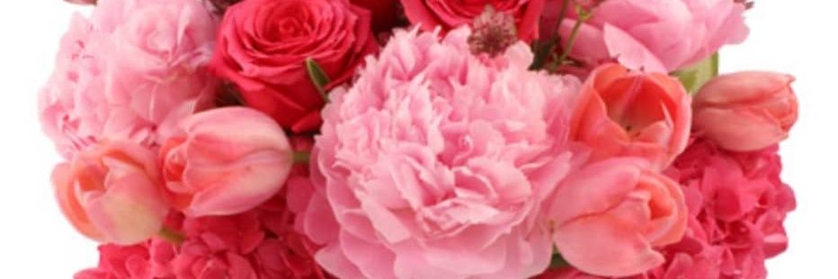2l_fajer's profile banner image