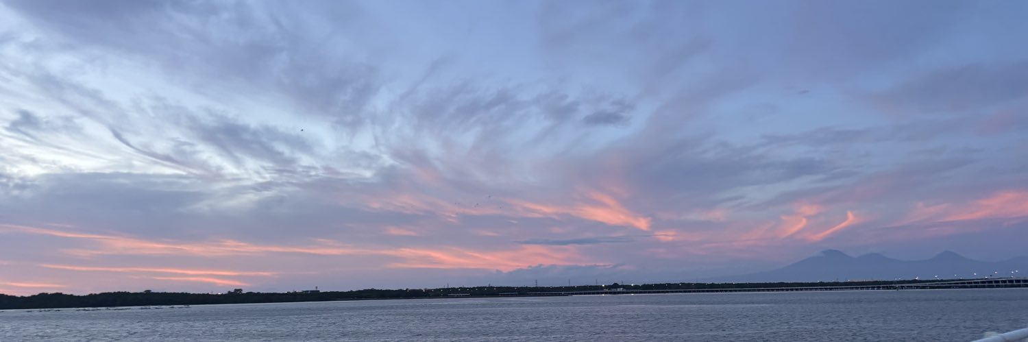 Vera banner