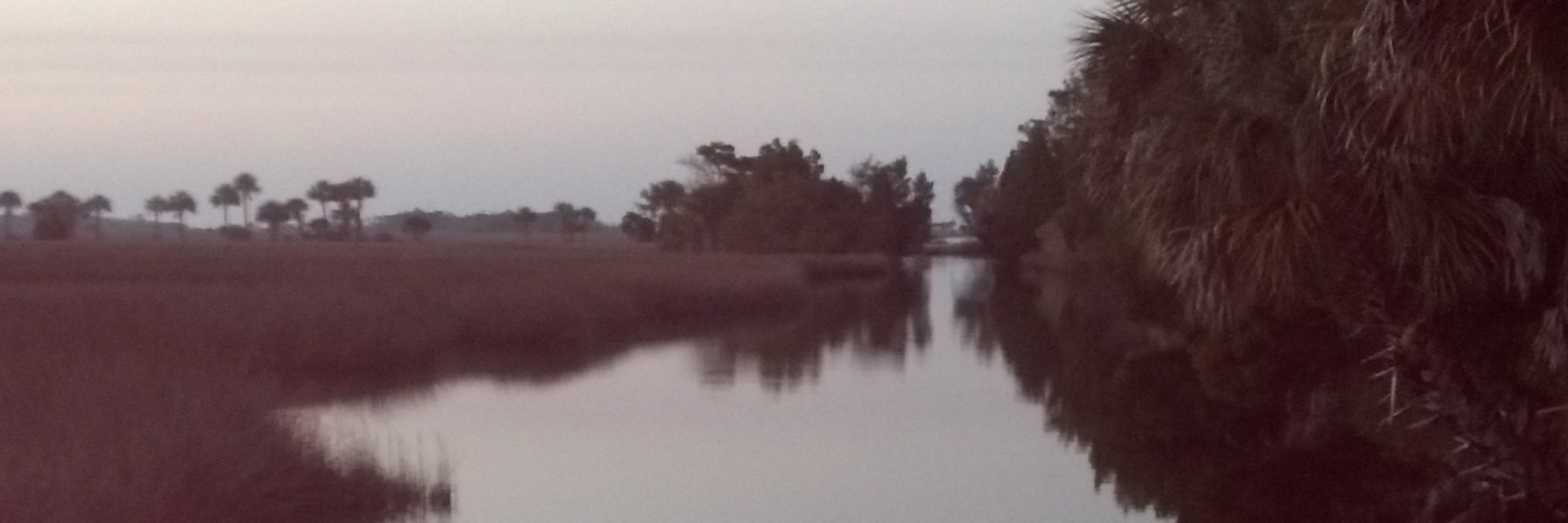 1drng1's profile banner image