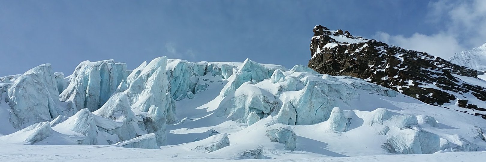 papernosch's profile banner image