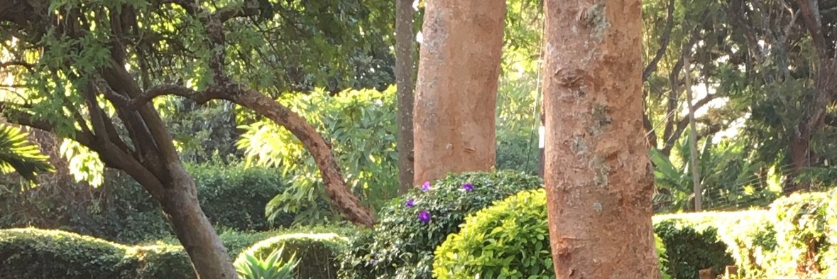 EdwinMacharia's profile banner image