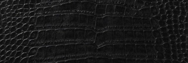 lausmith123's profile banner image