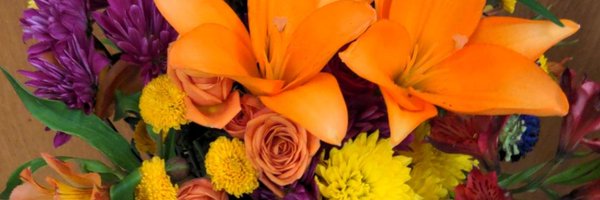 AishaaFasih Profile Banner