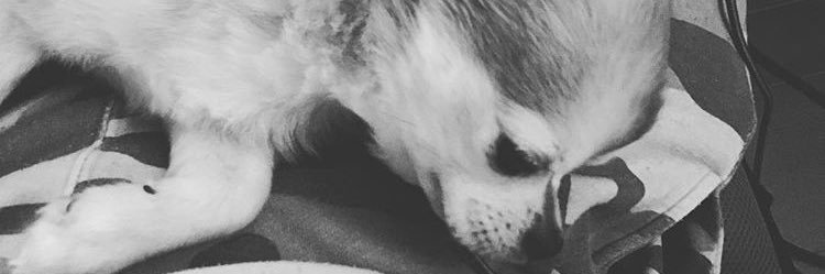 mash_to_i's profile banner image