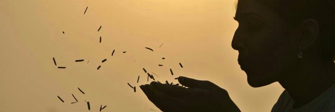 sonalsi58's profile banner image