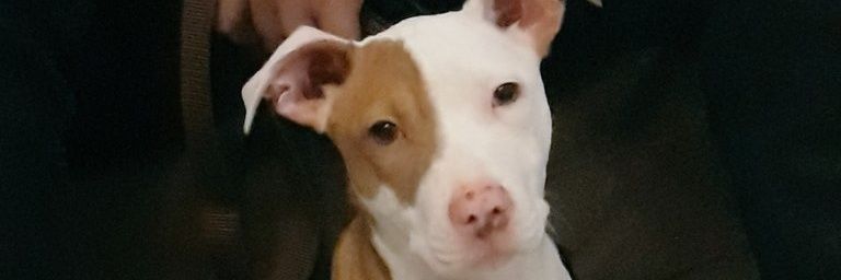 car_arias3's profile banner image