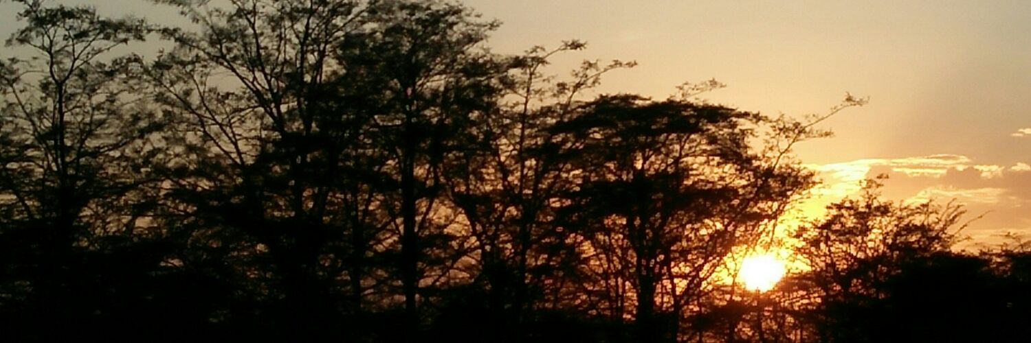 Florence Sipalla banner