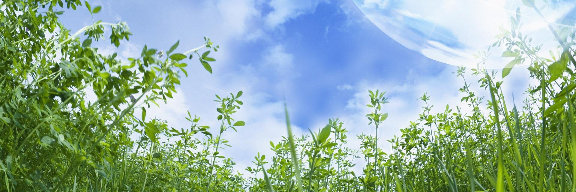 damulhan's profile banner image