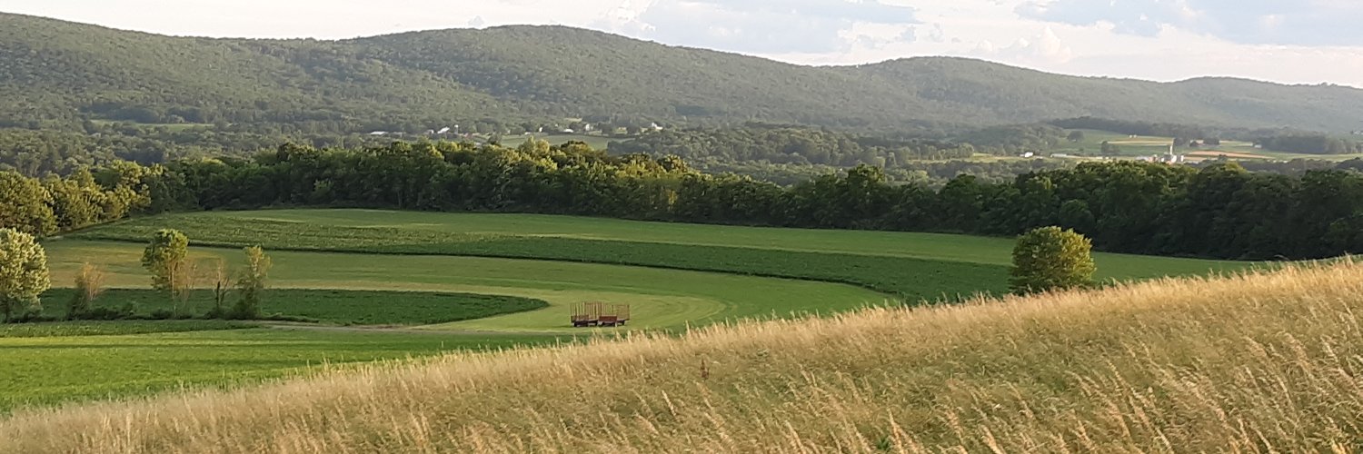 TomVenesky's profile banner image