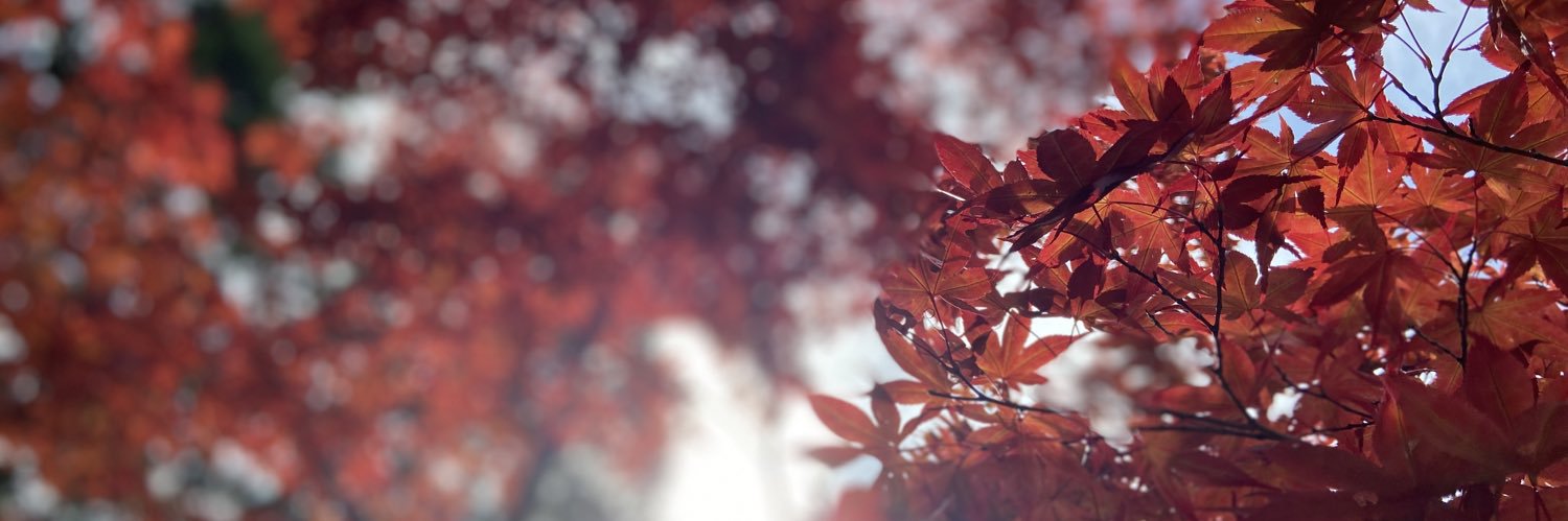 okome_070's profile banner image