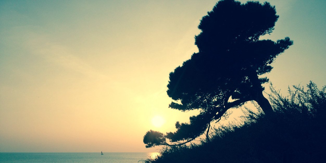 Thibault_Zh's profile banner image