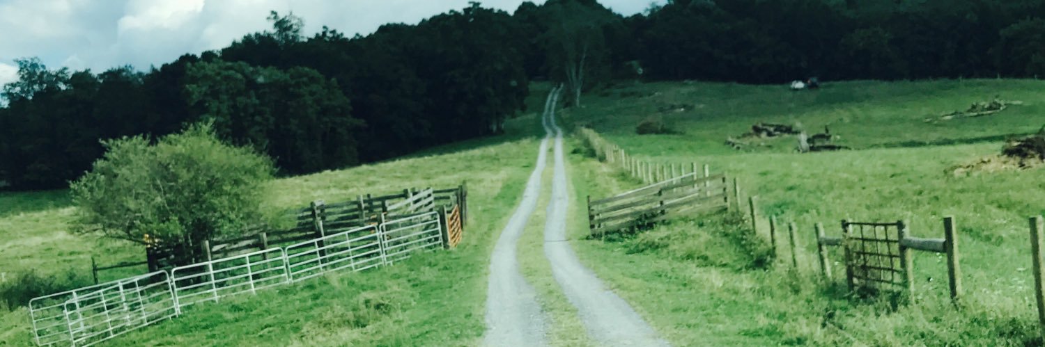Tommywod's profile banner image
