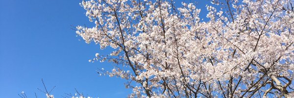 pimp0l Profile Banner