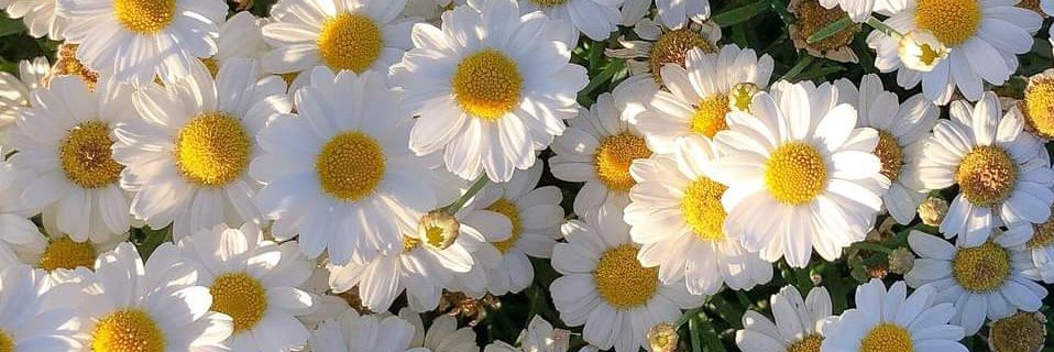 __lorrine's profile banner image