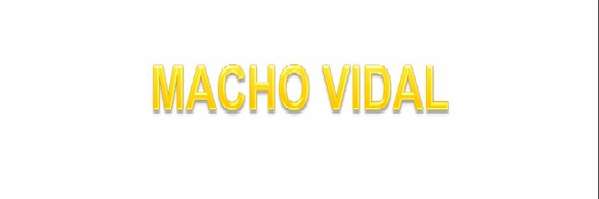 MACHOVIDAL's profile banner image