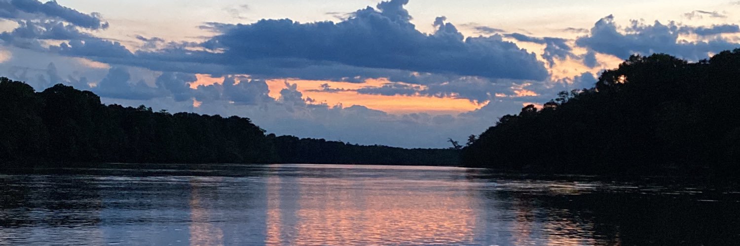 Dan Stone/Dukes Lodge on the Altamaha banner