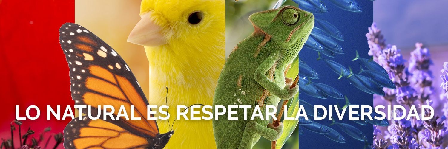 Annaïs Pascual | @annaispascual.bsky.social banner