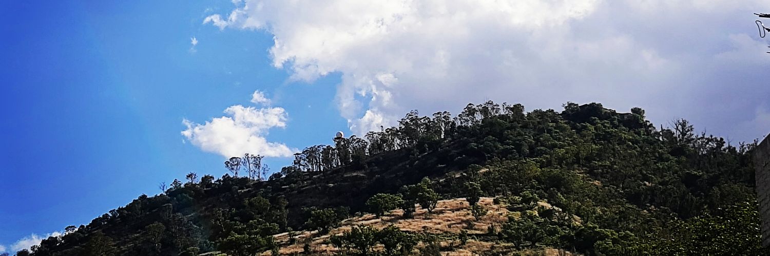 fernandaprmtz's profile banner image