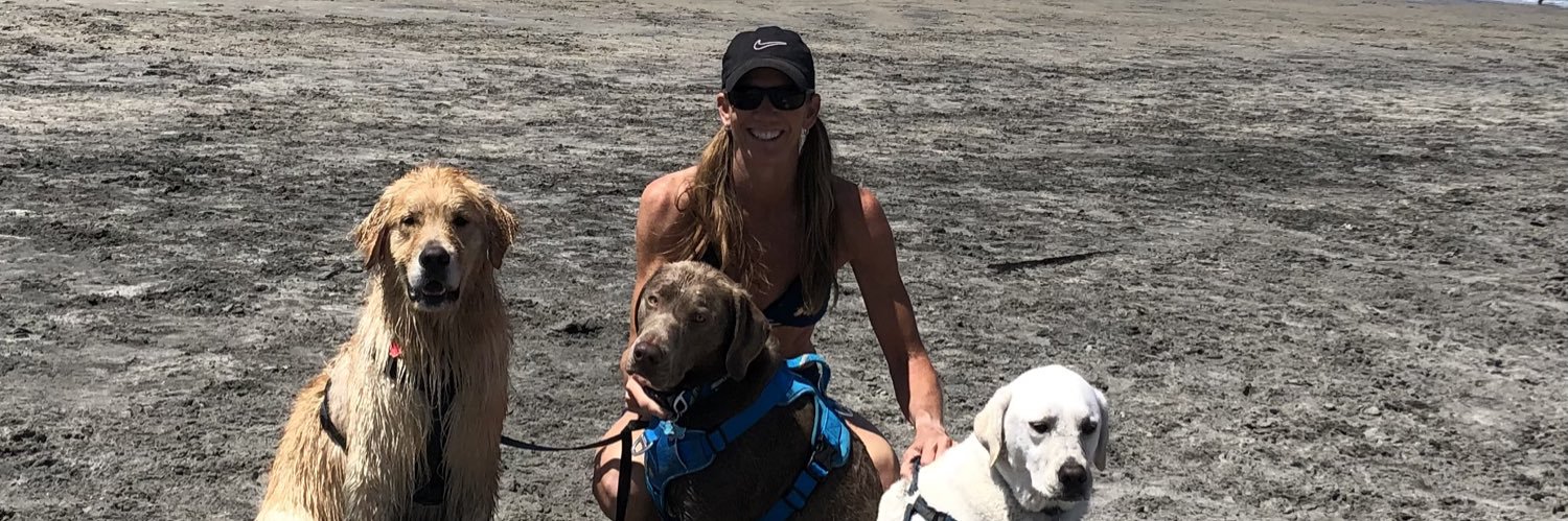 ShannonLWarner's profile banner image